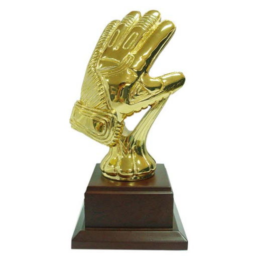 Keeperhandschoen Z 100